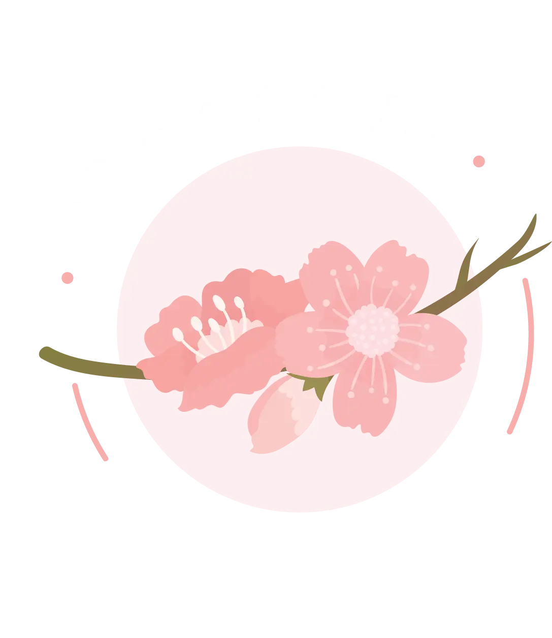 Blossom Massage Spa & Sauna Logo